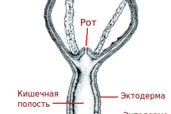 Kraken сайт kraken clear com
