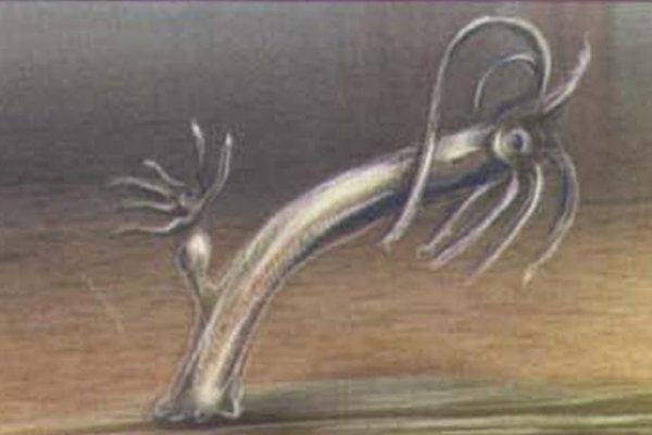 Кракен без тор