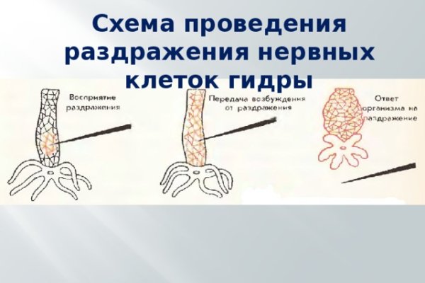 Что за площадка кракен