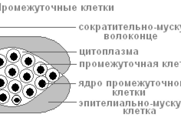 Кракен сайт регистрация