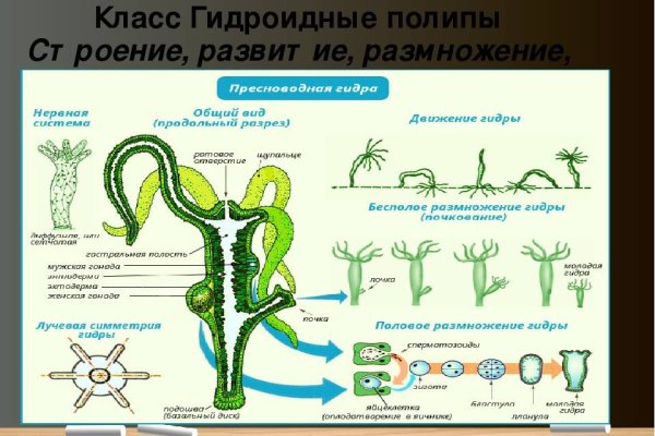 Кракен обход