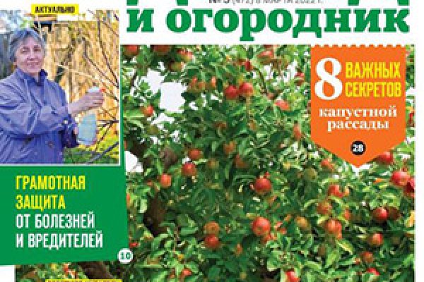 Можно ли восстановить аккаунт в кракен даркнет