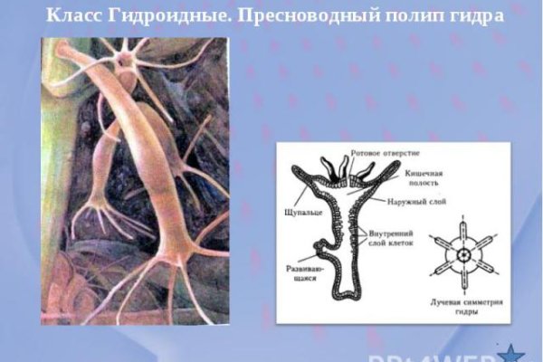 Кракен ссылка