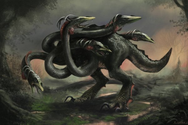 Kraken at зеркало