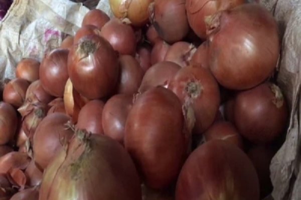 Рабочее зеркало кракен
