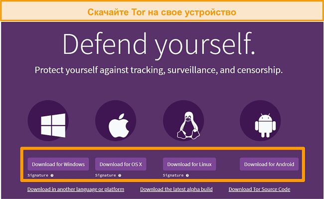 Кракен дарк сайт