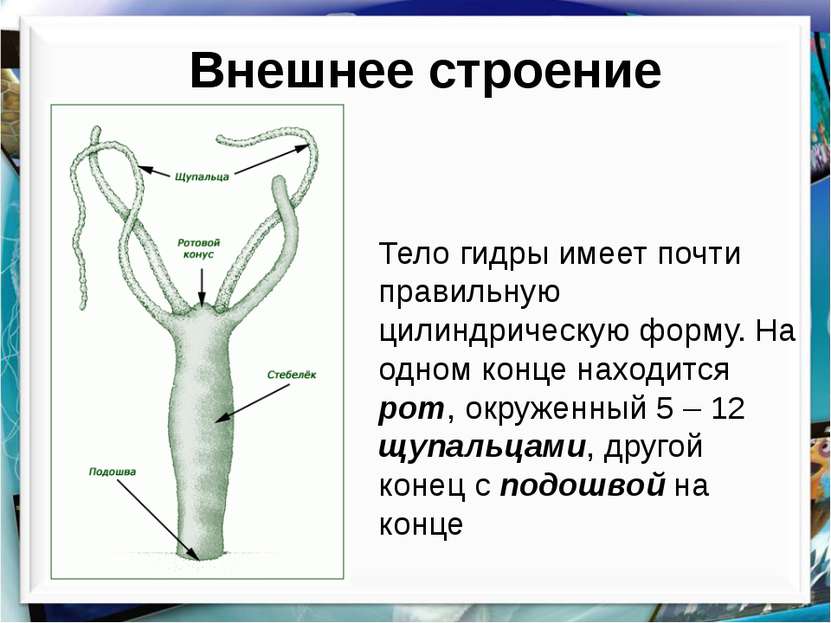 Кракен вход ссылка kraken torion net
